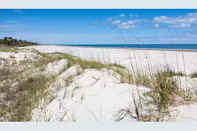 287 Pelican Flight Drive #Lot 14, Dewees Island, SC 29451 - Photo 14