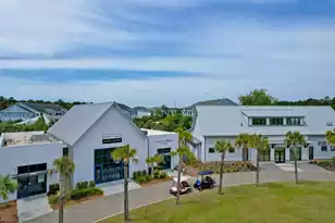 424 Kandinsky St, Charleston, SC 29492 - Photo 60