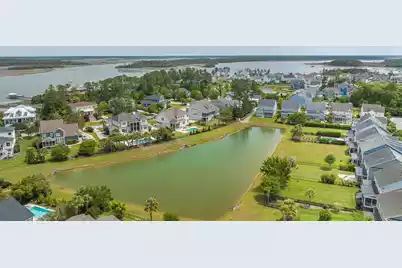 1185 Ayers Plantation Way, Mount Pleasant, SC 29466 - Photo 64