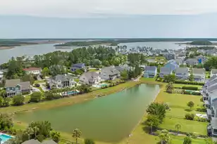 1185 Ayers Plantation Way, Mount Pleasant, SC 29466 - Photo 64
