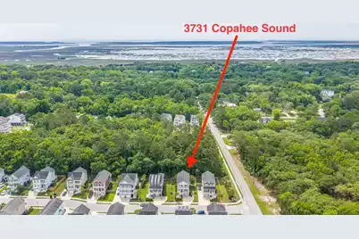 3731 Copahee Sound Drive, Mount Pleasant, SC 29466 - Photo 48