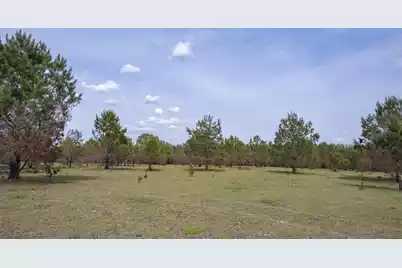 06 Pompey Road, Manning, SC 29102 - Photo 32