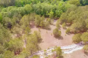 06 Pompey Rd, Manning, SC 29102 - Photo 6