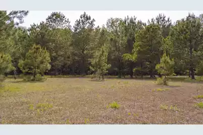 06 Pompey Road, Manning, SC 29102 - Photo 28