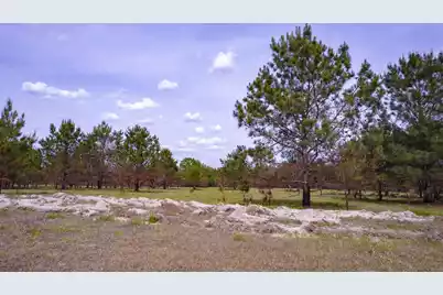 06 Pompey Road, Manning, SC 29102 - Photo 30