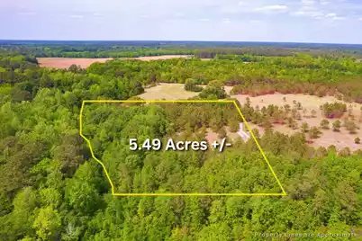 06 Pompey Road, Manning, SC 29102 - Photo 1