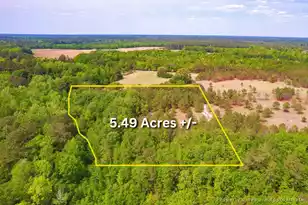 06 Pompey Rd, Manning, SC 29102 - Photo 1