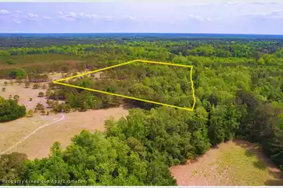 06 Pompey Road, Manning, SC 29102 - Photo 4