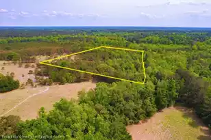 06 Pompey Rd, Manning, SC 29102 - Photo 4