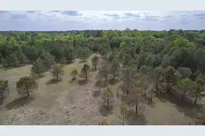06 Pompey Road, Manning, SC 29102 - Photo 34