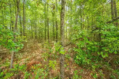 312 Breckingridge Drive, Ladson, SC 29456 - Photo 30