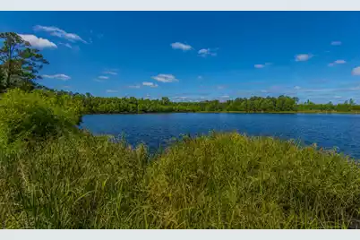 575 Pendleton Drive, Moncks Corner, SC 29461 - Photo 52