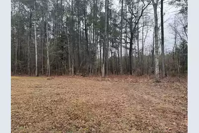 165 Ash Hill Drive, Eutawville, SC 29048 - Photo 2