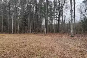 165 Ash Hill Dr, Eutawville, SC 29048 - Photo 2
