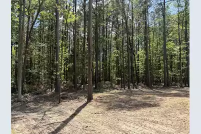115 Ash Hill Drive, Eutawville, SC 29048 - Photo 4