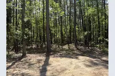 115 Ash Hill Drive, Eutawville, SC 29048 - Photo 6