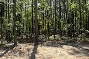 115 Ash Hill Dr, Eutawville, SC 29048 - Photo 6