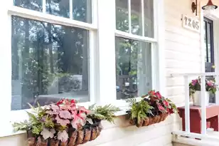 7205 Hwy 162, Hollywood, SC 29449 - Photo 4