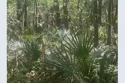 2492 Boy Scout Road, Wadmalaw Island, SC 29487 - Photo 8