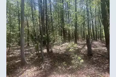2492 Boy Scout Road, Wadmalaw Island, SC 29487 - Photo 4
