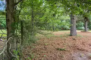 306 Michelle St, Eutawville, SC 29048 - Photo 10