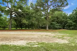 306 Michelle St, Eutawville, SC 29048 - Photo 8
