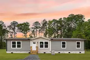 293 Branch Hollow Dr, Walterboro, SC 29488 - Photo 1