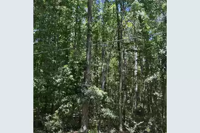 0 Pritchard Green Road, Mount Pleasant, SC 29429 - Photo 12