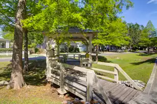 112 Wrigley Blvd, Summerville, SC 29485 - Photo 52