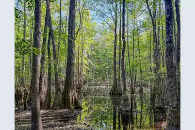 11481 Voorhees Road, Denmark, SC 29042 - Photo 2