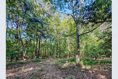 11481 Voorhees Road, Denmark, SC 29042 - Photo 10