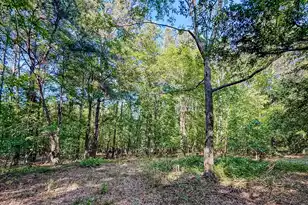 11481 Voorhees Rd, Denmark, SC 29042 - Photo 10