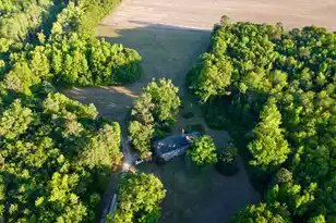 11481 Voorhees Rd, Denmark, SC 29042 - Photo 40
