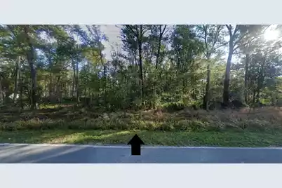 692 Bear Swamp Road, Johns Island, SC 29455 - Photo 10