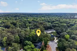 103 Laurens Ct, Summerville, SC 29485 - Photo 48