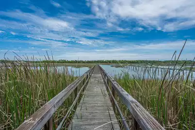2644 Bohicket Road, Johns Island, SC 29455 - Photo 62