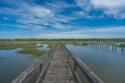 2644 Bohicket Road, Johns Island, SC 29455 - Photo 64