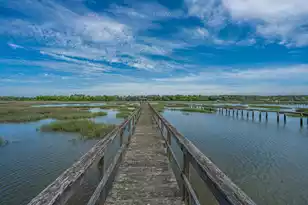 2644 Bohicket Rd, Johns Island, SC 29455 - Photo 64