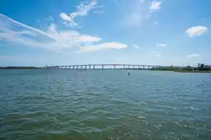 401 Wayfaring Point, Daniel Island, SC 29492 - Photo 62