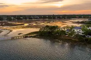 401 Wayfaring Point, Daniel Island, SC 29492 - Photo 2