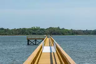 401 Wayfaring Point, Daniel Island, SC 29492 - Photo 46