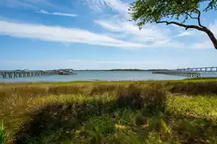 401 Wayfaring Point, Daniel Island, SC 29492 - Photo 40