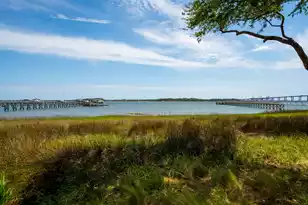 401 Wayfaring Point, Daniel Island, SC 29492 - Photo 38