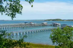 401 Wayfaring Point, Daniel Island, SC 29492 - Photo 92