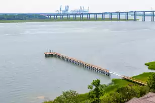 401 Wayfaring Point, Daniel Island, SC 29492 - Photo 142