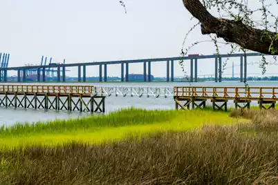 401 Wayfaring Point, Daniel Island, SC 29492 - Photo 54