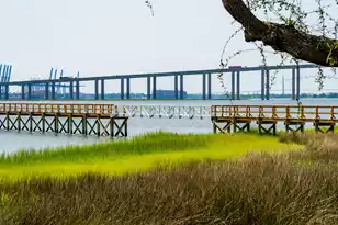 401 Wayfaring Point, Daniel Island, SC 29492 - Photo 54