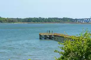 401 Wayfaring Point, Daniel Island, SC 29492 - Photo 104