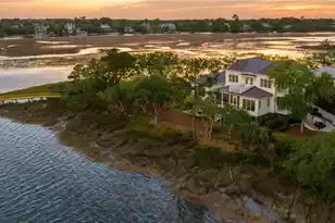 401 Wayfaring Point, Daniel Island, SC 29492 - Photo 138