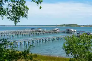 401 Wayfaring Point, Daniel Island, SC 29492 - Photo 90
